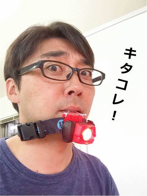 キタコレ