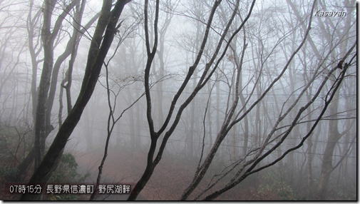 野尻湖畔141130
