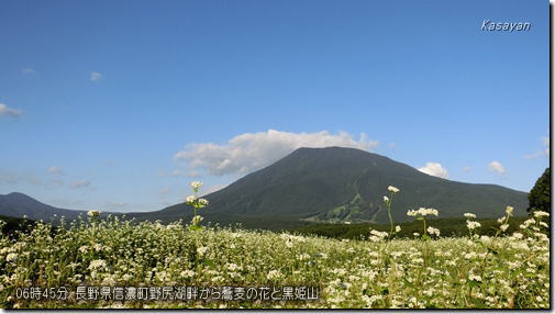 黒姫山と蕎麦の花160831