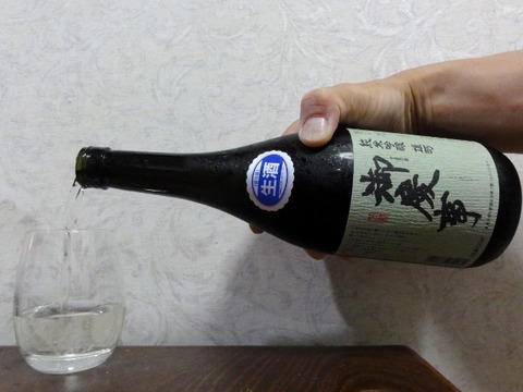 DSC08387 (640x480)