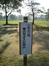 ad43e544.jpg