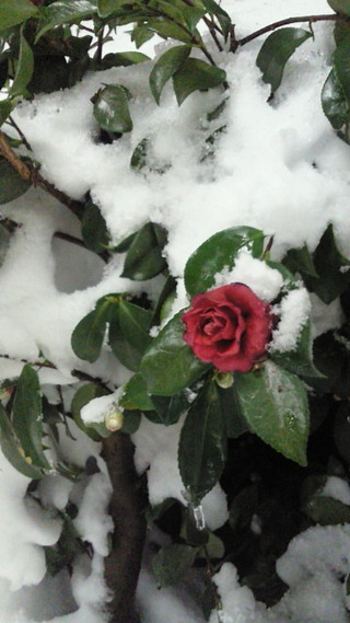 ed489968.jpg