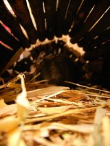 トンネル
