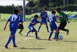 ¹ç½É2£Ô£Ç-£ç5 (11)