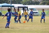 ¹ç½É2£Ô£Ç-£ç4 (3)