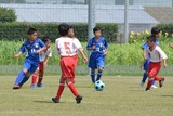 s-150801g4 (4)