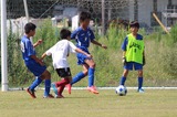 ¹ç½É2£Ô£Ç-£ç6 (3)