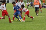 110806£ç6 (5)