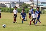 ¹ç½É2£Ô£Ç-£ç6 (2)