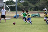 IMG_3070