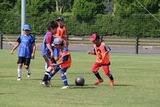 IMG_2905