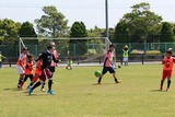 IMG_4250