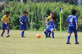 ¹ç½É2£Ô£Ç-£ç4 (2)