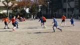 141116g6 (6)