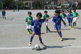 sIMG_3137