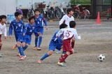 141130g6 (4)