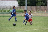 110806g5 (13)