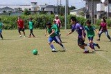 IMG_4290