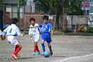 sDSC_0682