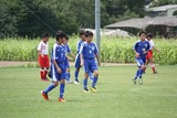 110806g5 (10)