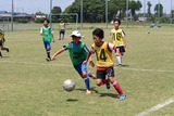 IMG_4354