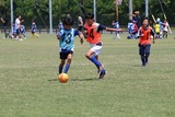 IMG_4333