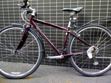 41e75780.jpg