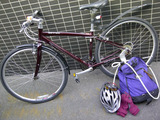 fbb26e59.jpg