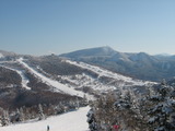 b70641b8.jpg