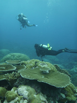 P1080247