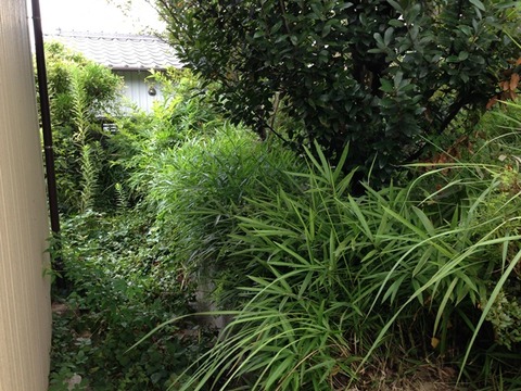 before守山区吉根2-412_05