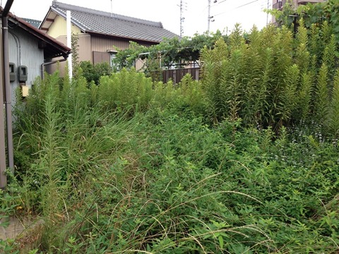 before守山区吉根2-412_03