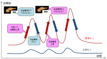 kettouchi