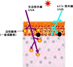 UV_attack1
