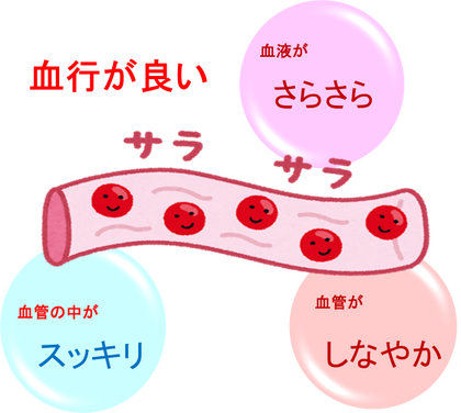 ketsuryu5