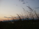 夕暮れの頃