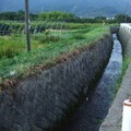 不動川