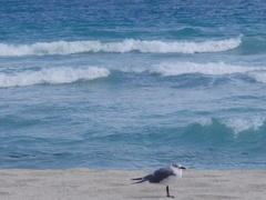 P2180156