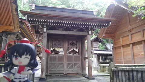 KIMG0871
