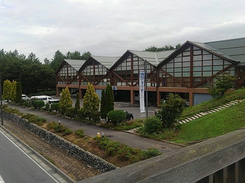 jpg large