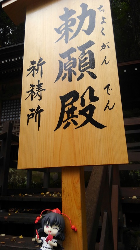 KIMG0846