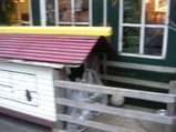 トトのお屋敷