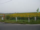 DSCN0116