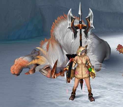 dodo