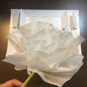 母の日2018
