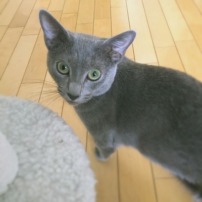 maru