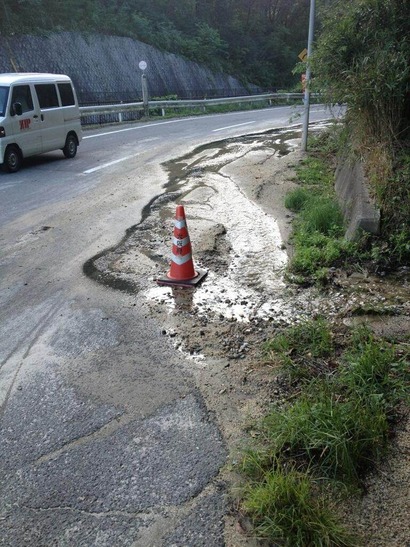 photo (6)