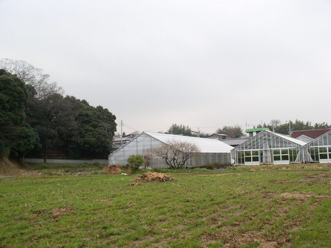 P2290022