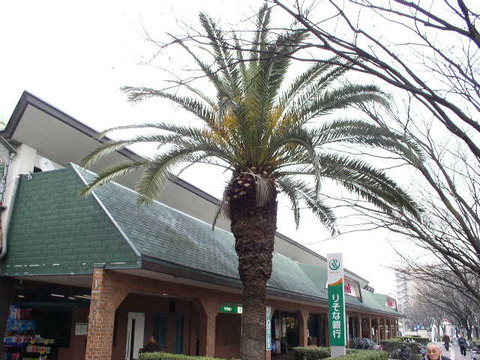 P2290018