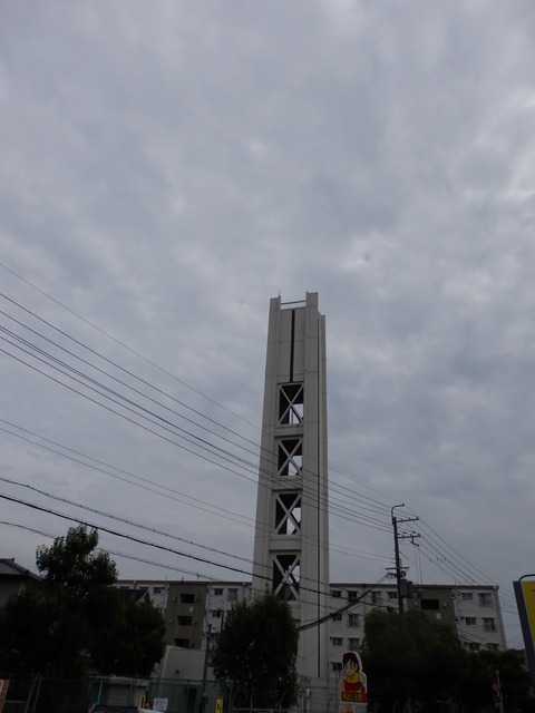 P7170017